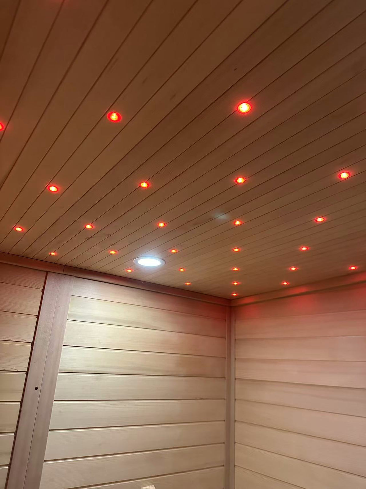 Aspen Luxury Cedar Sauna